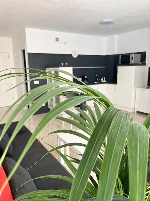 لوس كريستيانوس Heyhome Lynn 306 المظهر الخارجي الصورة